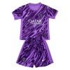 Paris Saint-Germain Purple Version 2024-25 - Barn Keeper Draktsett